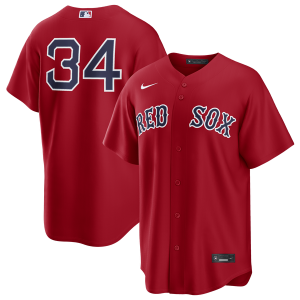 Fanatics Red Sox David Ortiz Alternate Jersey - Men's