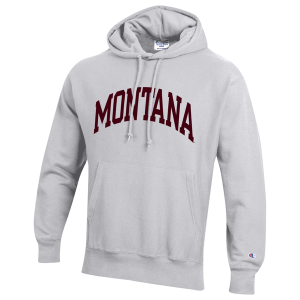 Champion NCAA Reverse Weave Wordmark Hoodie - Men's - Silver Gray