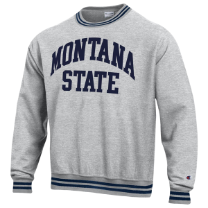 Champion NCAA Reverse Weave Wordmark Hoodie - Men's - Silver Gray